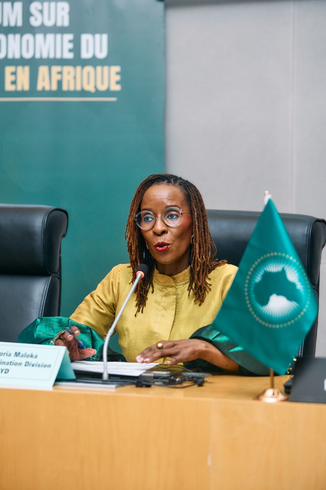 Session chair speaking beside the African Union flag during the Africa Care Forum